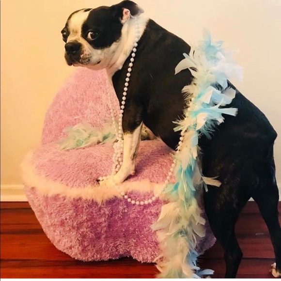 Thank you for shopping with me! Offers welcome! - Picture 7 of 16